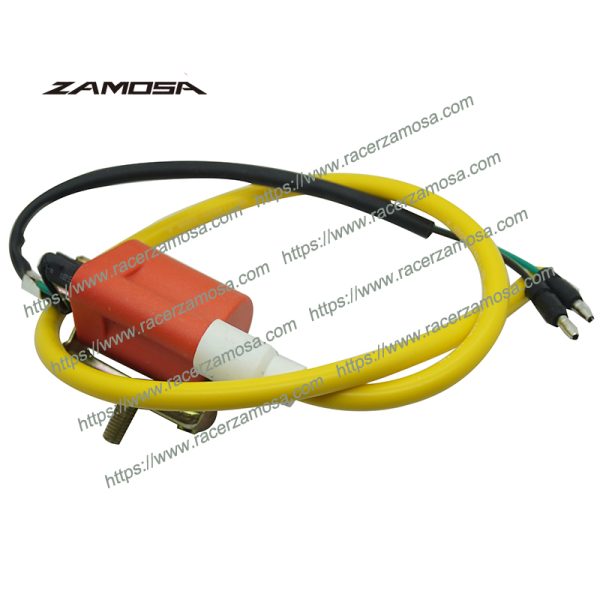 Racing Inigiton Coil C100 DREAM T-REX70 GN5 EX5 C90 100CC 90CC 50CC Motorcycle Racing Performance Parts