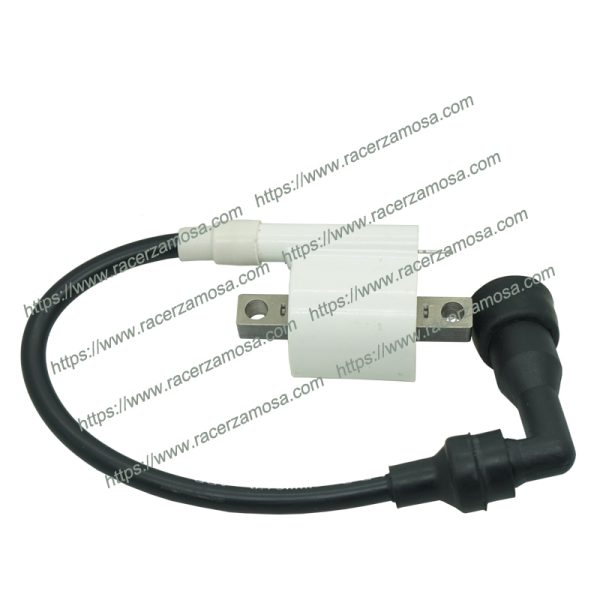 Boxer BM150 Ignition Coil BM 150 Motorcycle Spare Parts