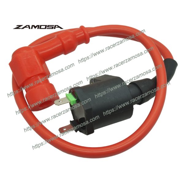 GY6 250 GY6-250 Motorcycle Ignition Coils GY6 250Z GY6-250Z 250cc Motorcycle Spare Parts and Accessories