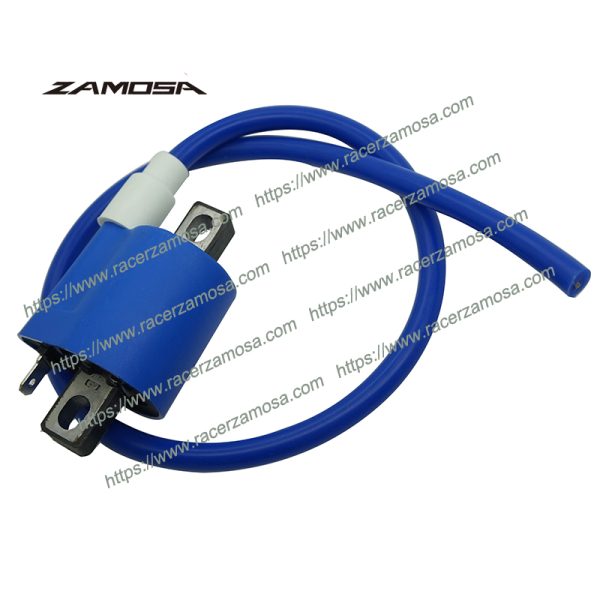 FT125 Motorcycle Racing Performance Parts AKT125 RX150 YBR125 CG125 Racing Ignition Coil RX 150 FT 125 AKT 125 YBR 125