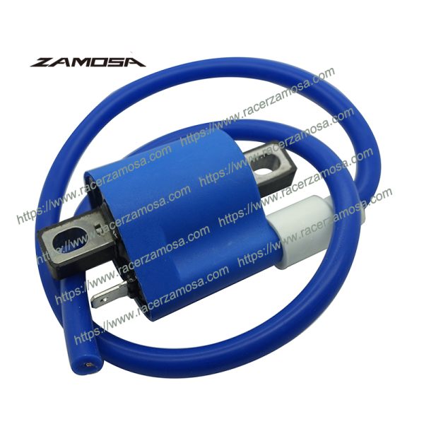 FT125 Motorcycle Racing Performance Parts AKT125 RX150 YBR125 CG125 Racing Ignition Coil RX 150 FT 125 AKT 125 YBR 125